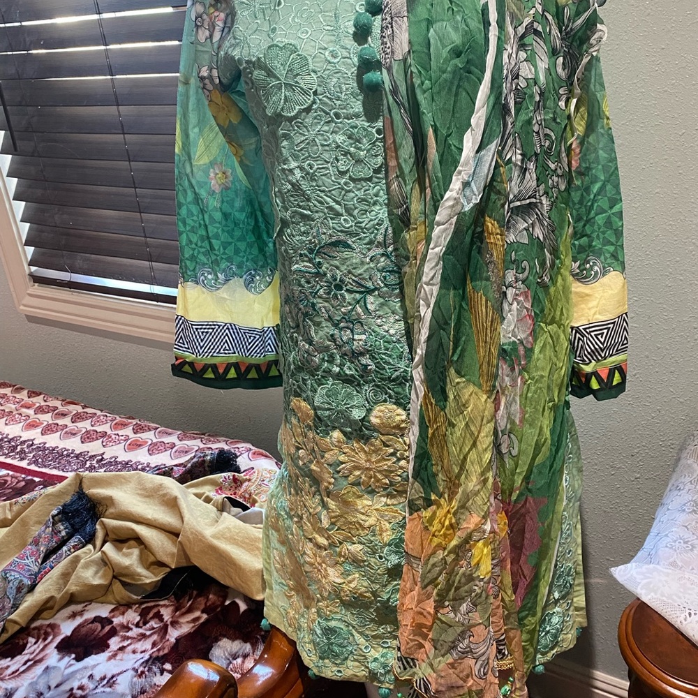 Pakistani Dress - Picture 9 of 12